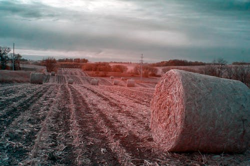 Бесплатное стоковое фото с облака, пасмурный, пейзаж