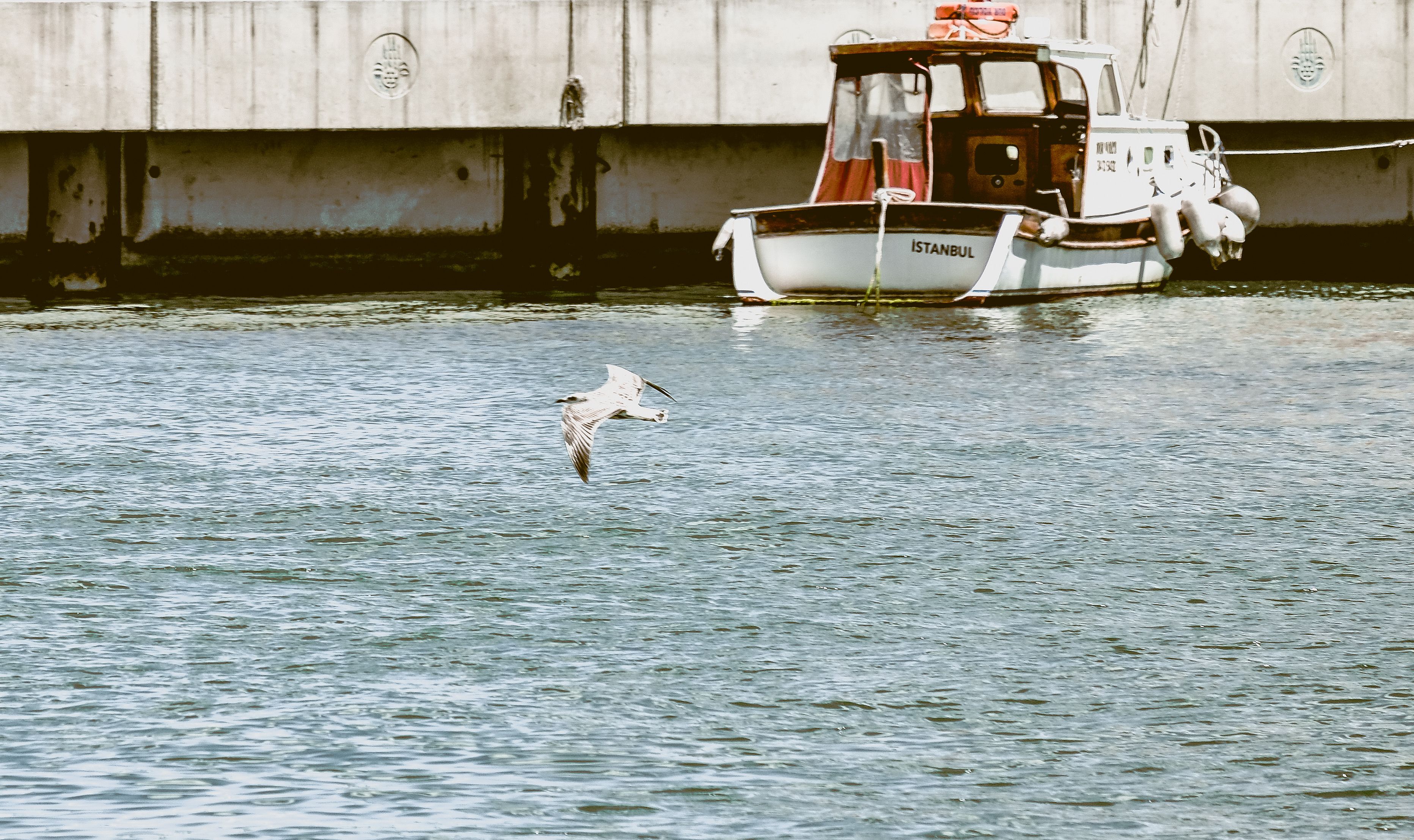 Motorboat Moored on Coast in Istanbul · Free Stock Photo