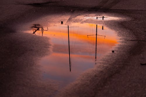 Free stock photo of puddle, puddles, reflection
