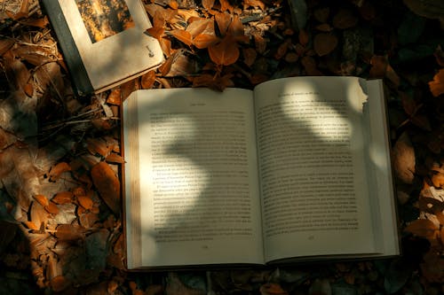 An open book on the ground surrounded by leaves