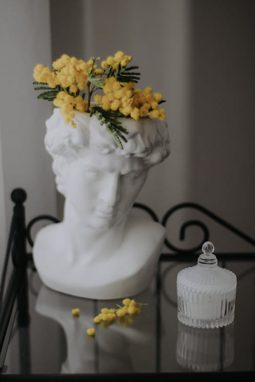 Gratis lagerfoto af blomster, bord, buste