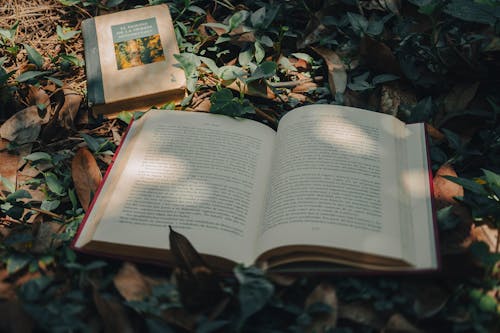 An open book sitting on the ground surrounded by leaves