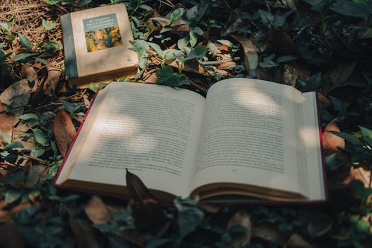 pexels photo 15858560 Must-Read Books That Defined the Literary Landscape in 2023