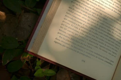 A book is open on the ground with some leaves
