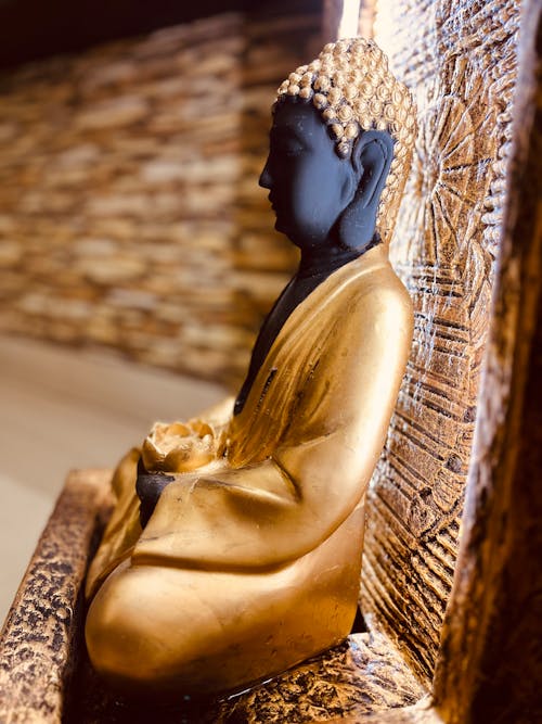 Kostnadsfri bild av buddha