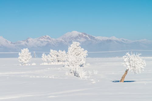 Gratis lagerfoto af bjerge, bjergkæde, forkølelse