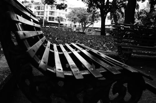 Grayscale Photography Of Bench 