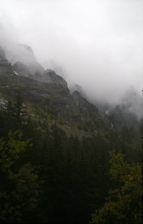 Cloud over Forest in Mountains