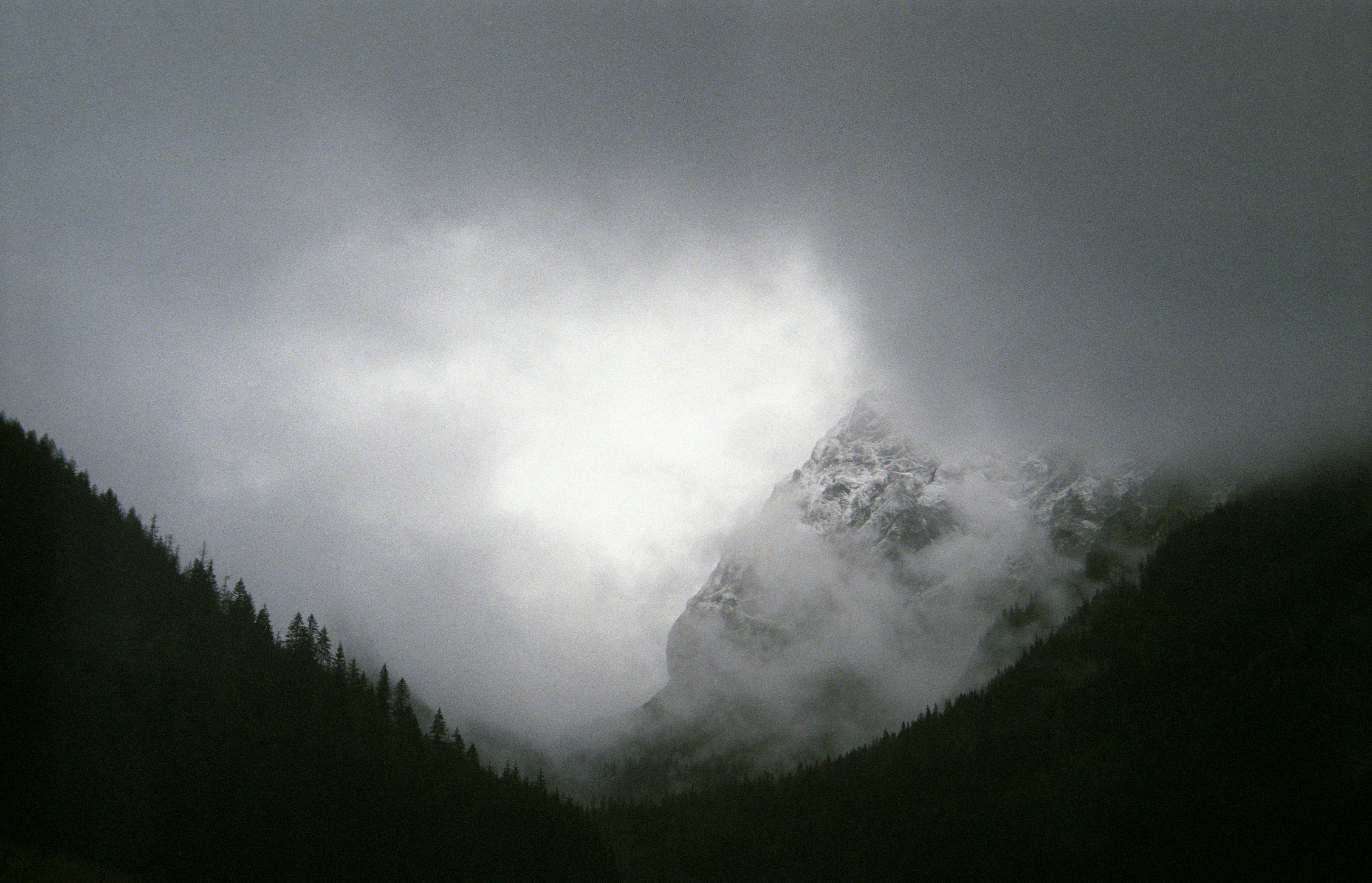 Forest Scenery Photos, Download The BEST Free Forest Scenery Stock