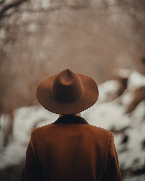 Free Back view of stylish person in brown coat and hat surrounded by a snowy forest. Stock Photo