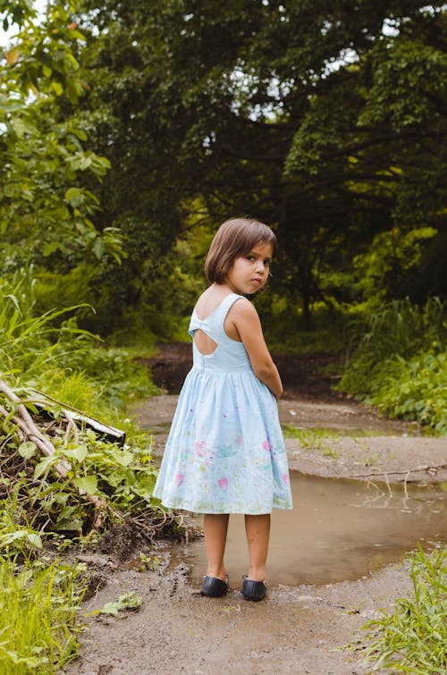 Free stock photo of girl, life, nature