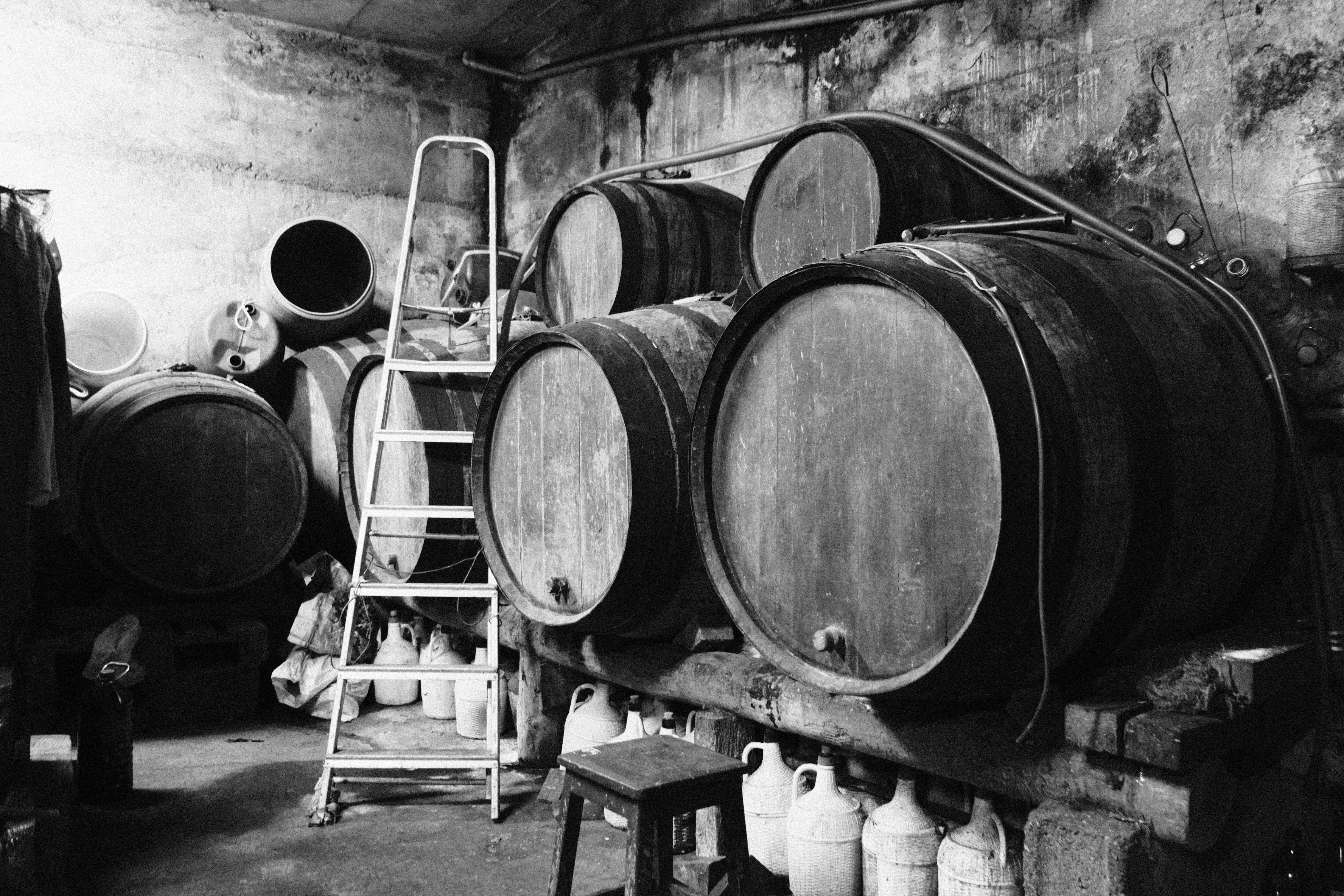 Wine Kegs in Basement · Free Stock Photo
