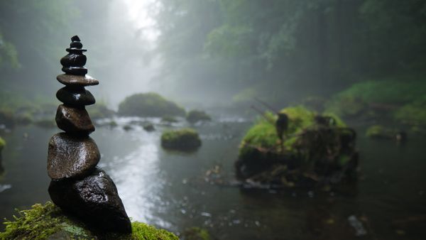 Misty hidden sanctuary