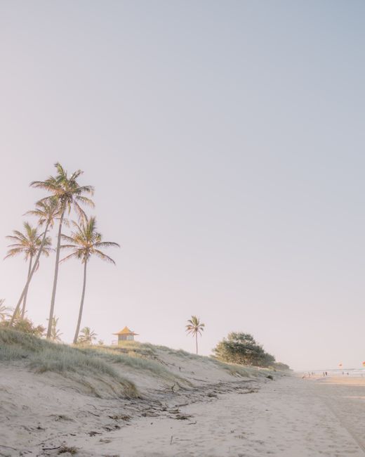 Tranquil Gold Coast beach scene with palm trees and soft sunrise light, perfect for serene tropical vibes.