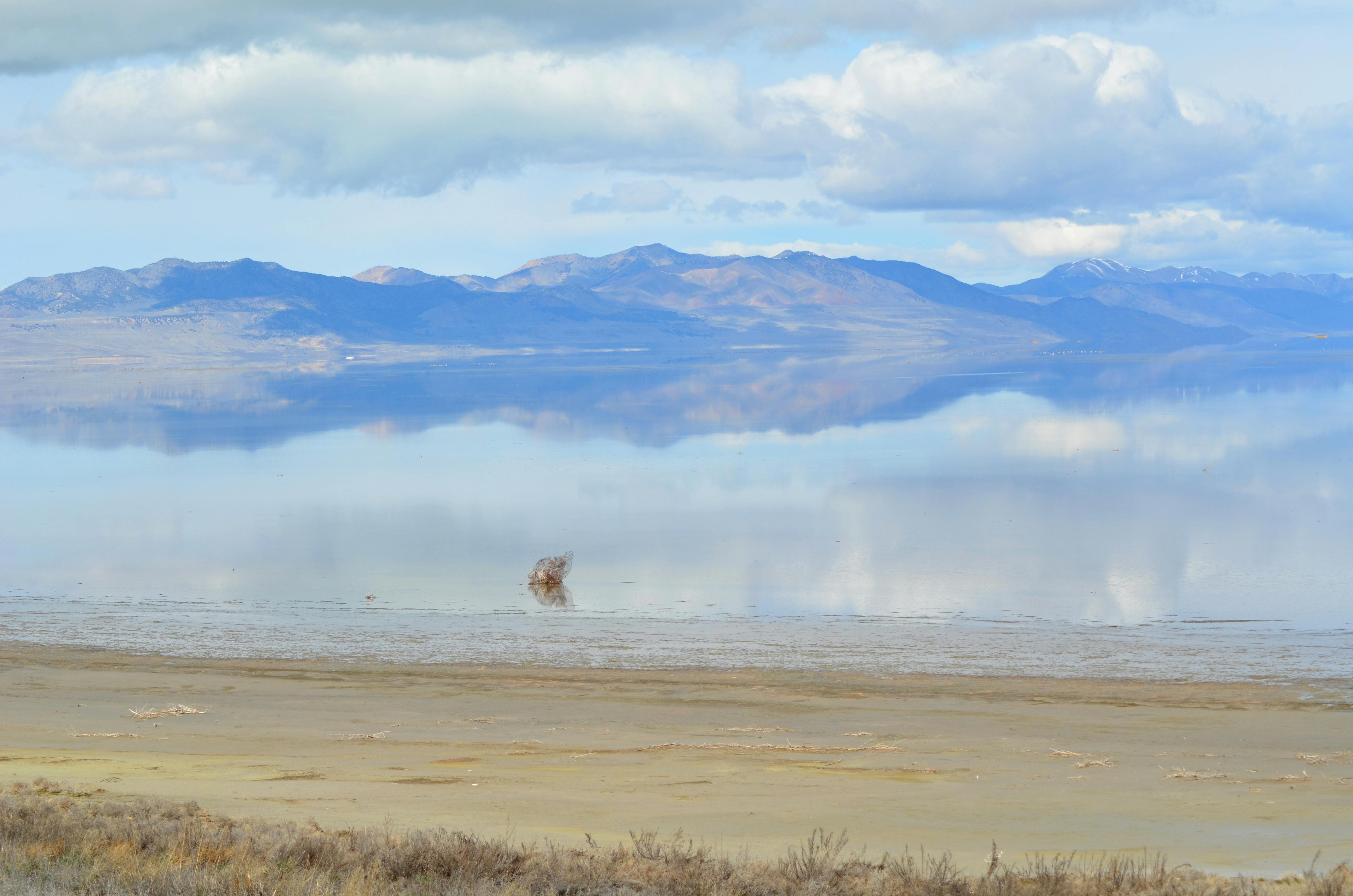 زيارة المدينة القديمة