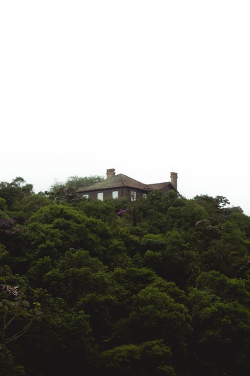 垂直拍攝, 山, 房子 的 免費圖庫相片