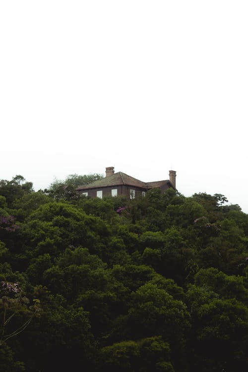 Foto profissional grátis de árvores, casa, casas