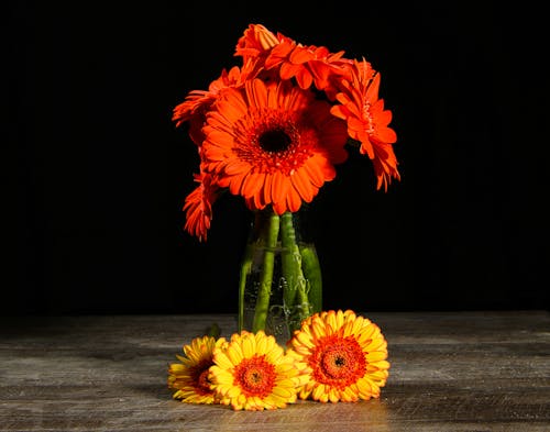 Ücretsiz bitkiler, Çiçekler, dikey atış içeren Ücretsiz stok fotoğraf Stok Fotoğraflar