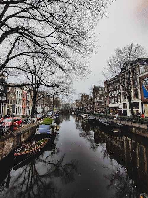 네덜란드의, 수로, 암스테르담의 무료 스톡 사진