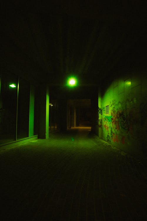 Fotos de stock gratuitas de luz verde, muro, noche