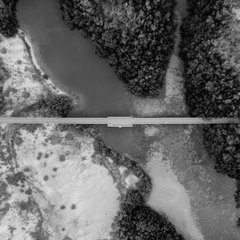 从空中俯瞰，一座桥横跨在河流上，四周是黑白的树木