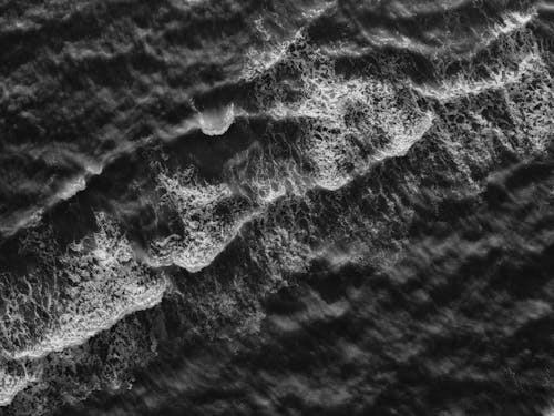 Free White and Black Sea Waves Stock Photo
