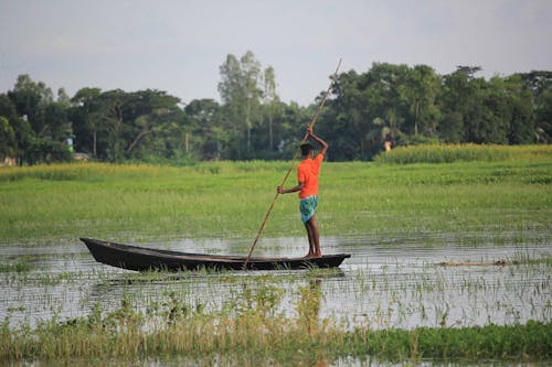 Boy on Boat on Rice Field