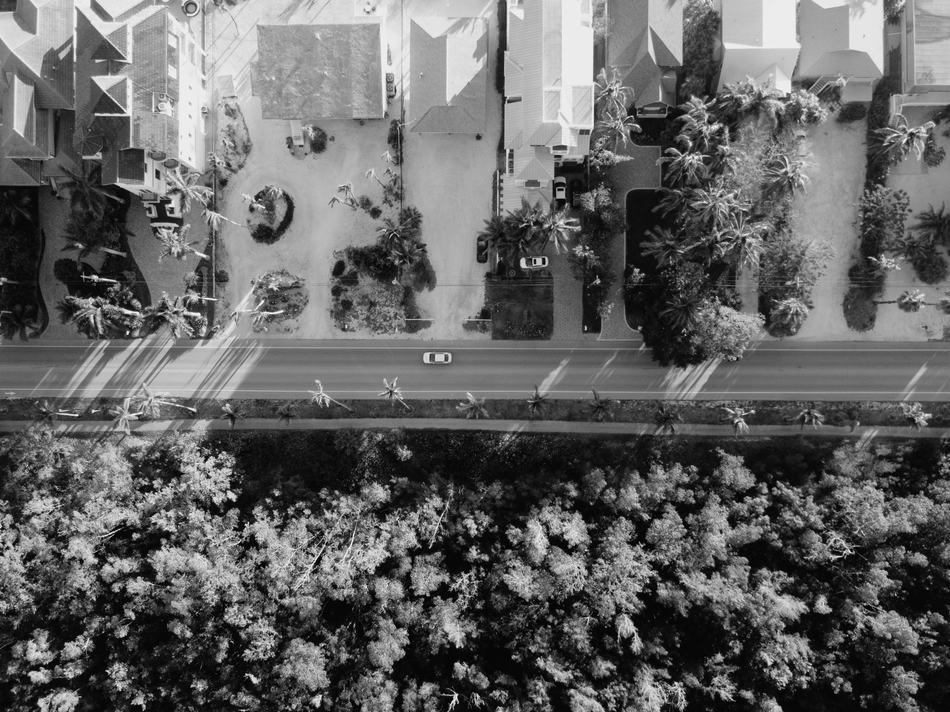 A black and white aerial photograph showing cars on a suburban street lined with houses and trees.