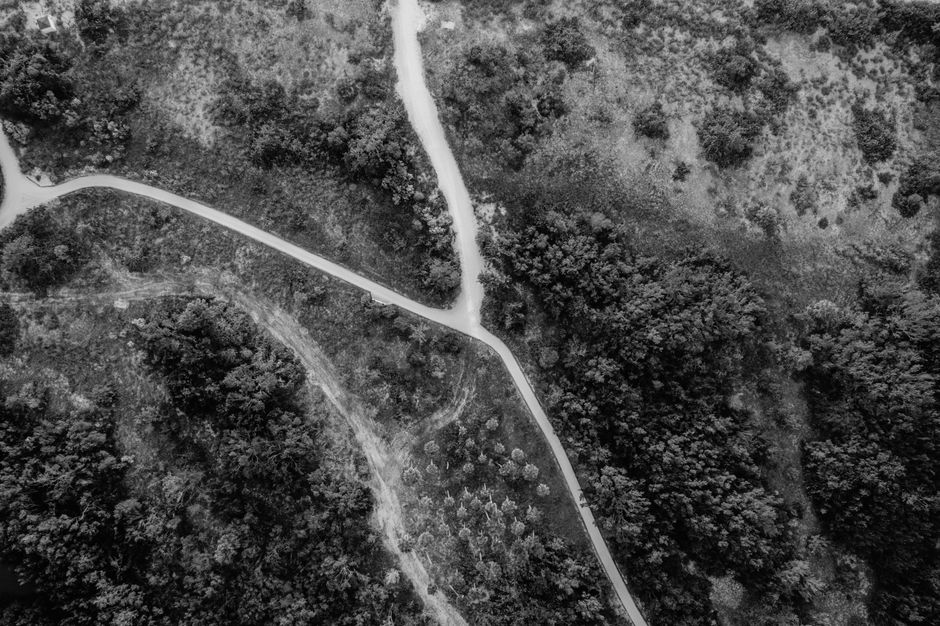 A high-angle black and white aerial view showcasing winding roads through a dense forest.