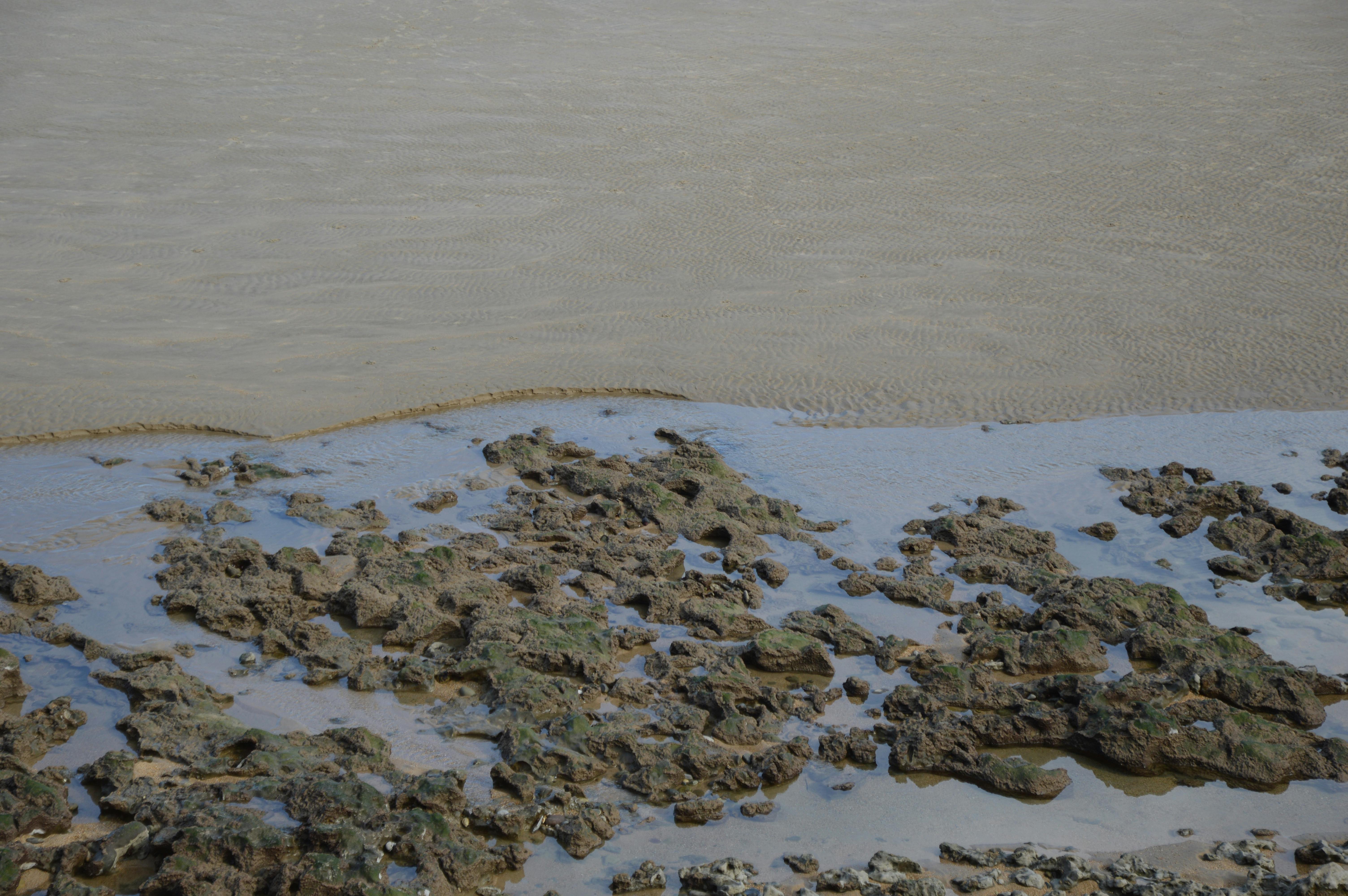 Tide line on a sandy beach with low-angle morning light