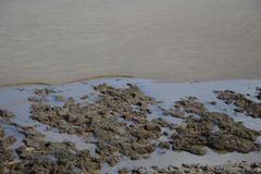 Tide line on a sandy beach with low-angle morning light