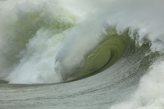 Dynamic image of a powerful ocean wave cresting, capturing the raw energy of nature.