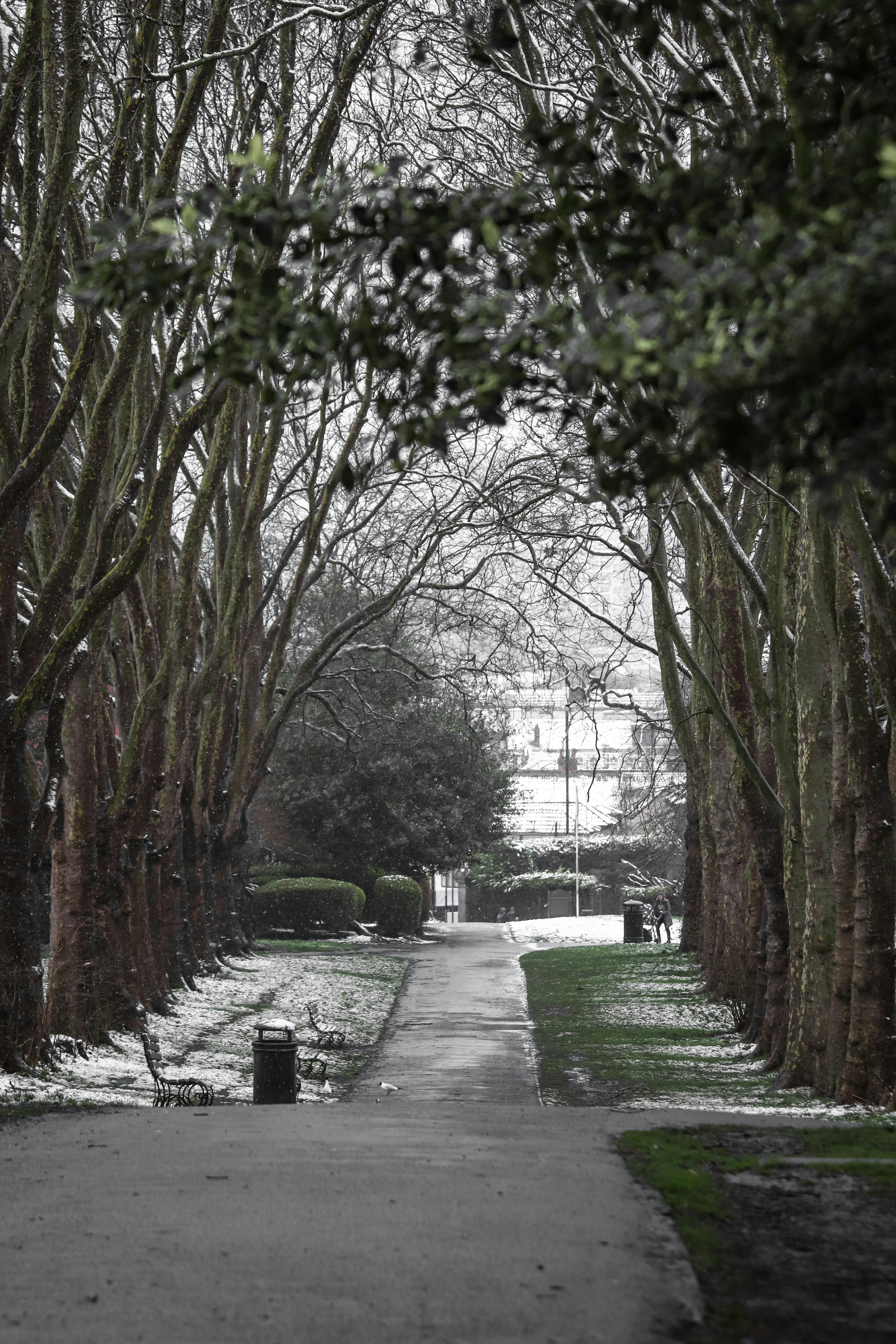 Ultimate Guide to Bristol Parkway Station Parking: Compare Prices and Services!