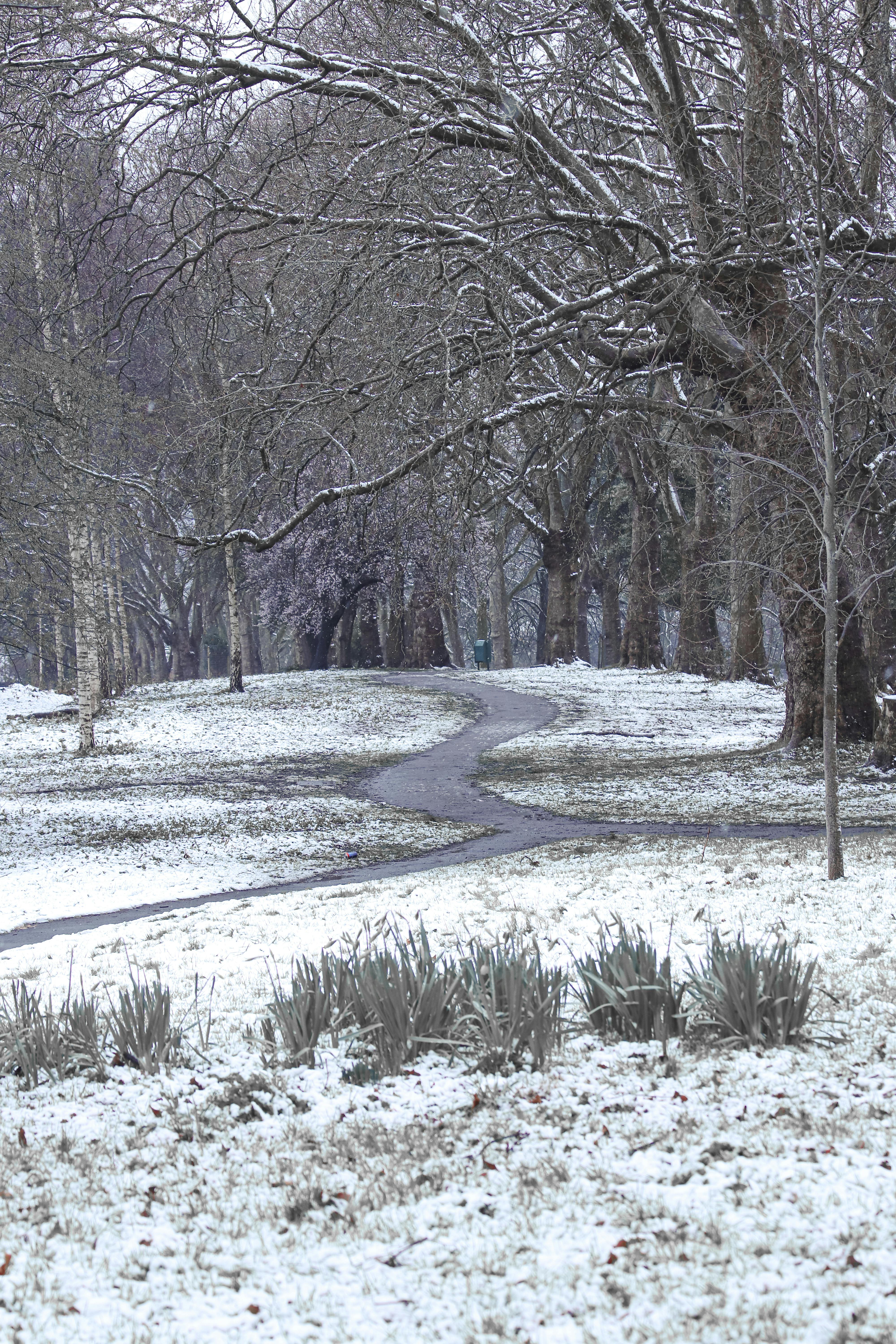 Understanding the Impact of February Snow Blizzards: What Every UK Resident Should Know