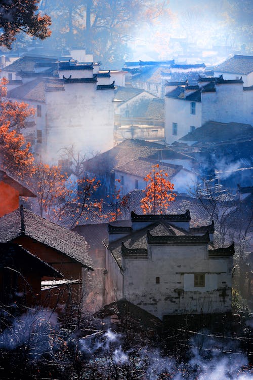 Buildings Surrounded by Forest