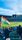 cricket stadium