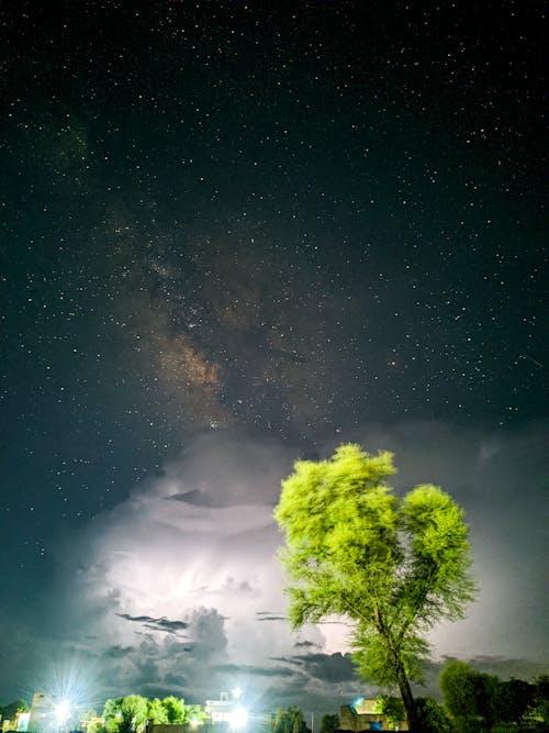 Gratis stockfoto met astronomie, galaxy, groene bomen