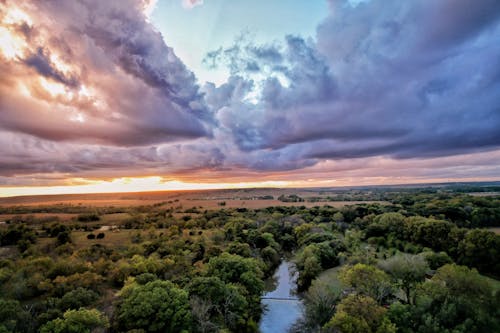 Foto d'estoc gratuïta de arbres, camps, canal