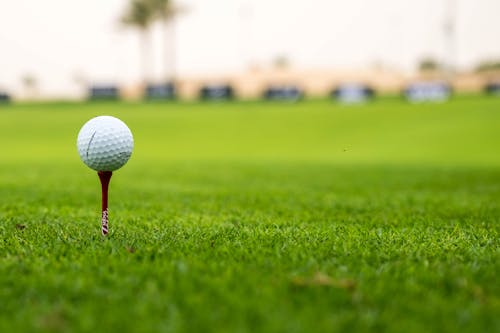 Kostnadsfri bild av boll, golf, gräs