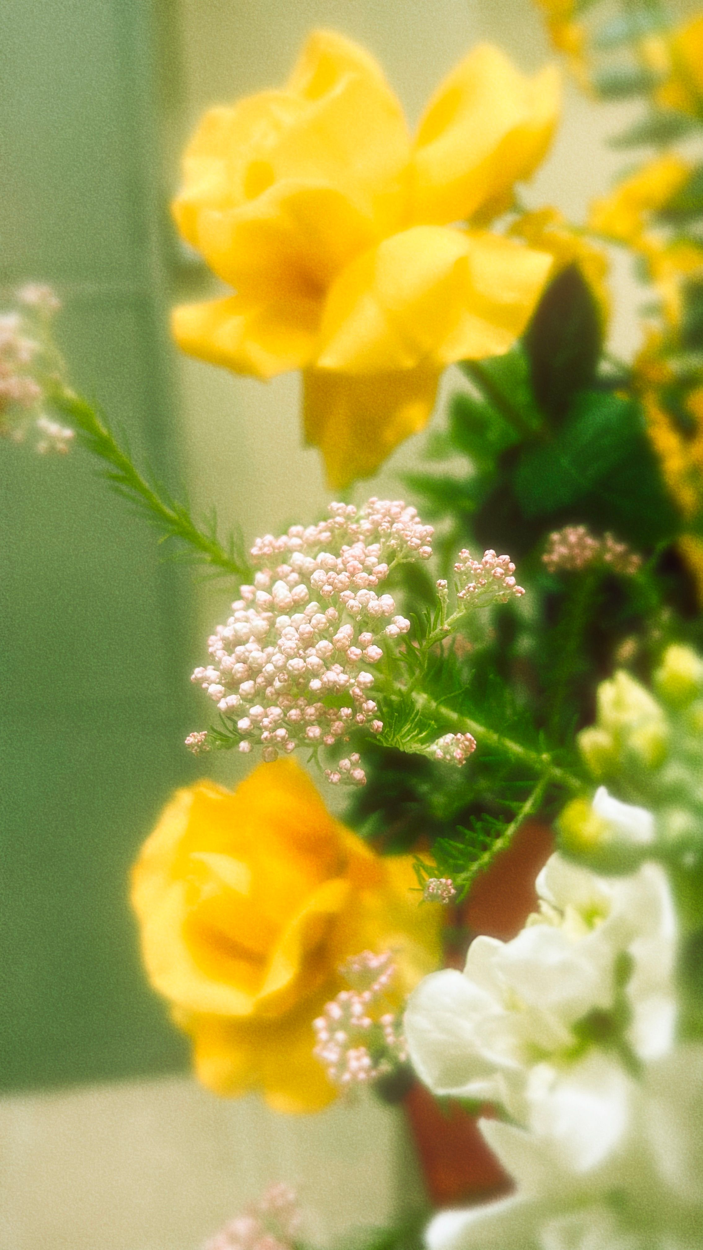 [ColoSach]-close-up-of-a-bright-yellow-floral-bouquet-highlighting-nature's-beauty.