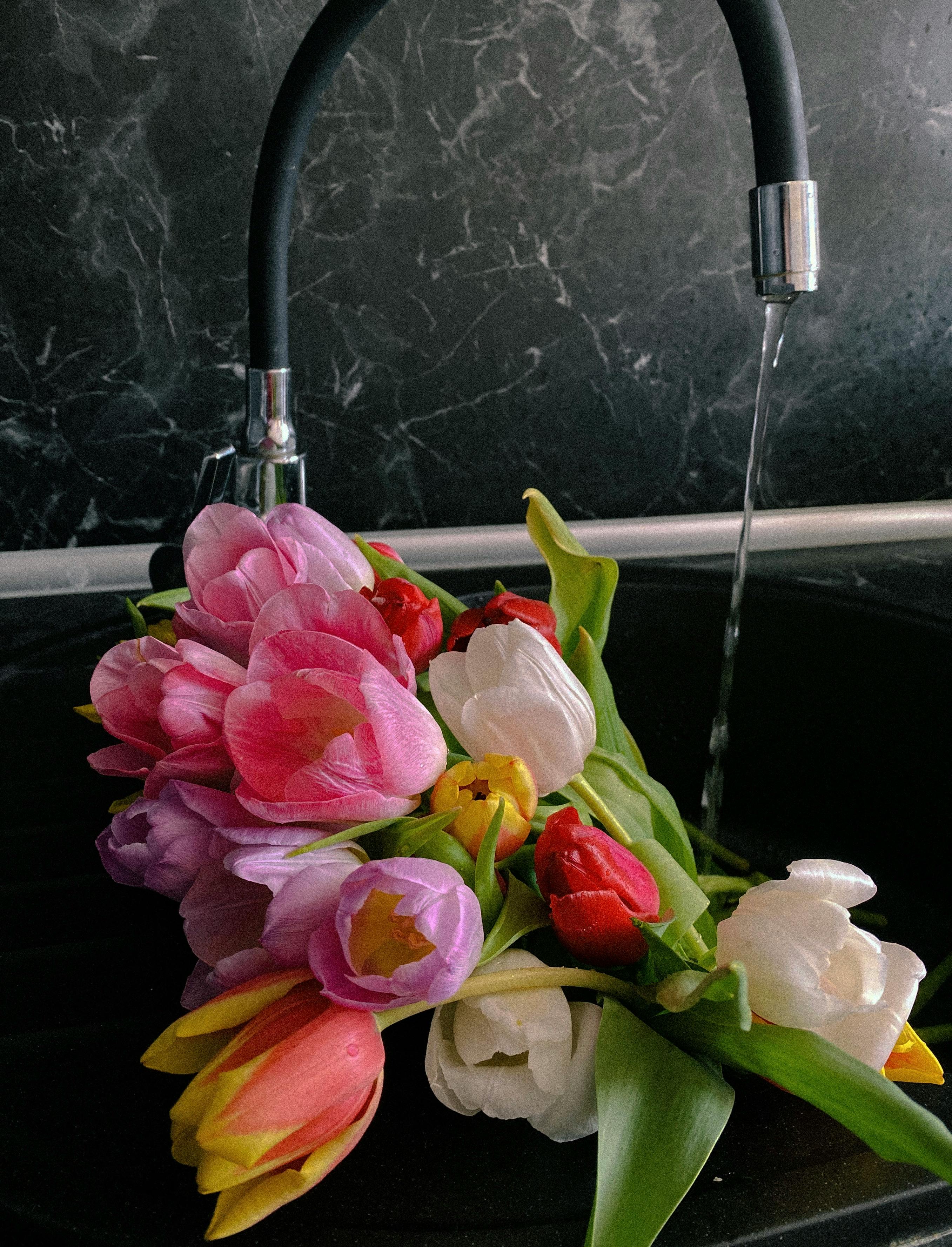 A colorful bouquet of tulips being rinsed under a faucet on a marble background.