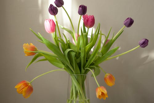 Foto Tulip Dalam Vas Bunga