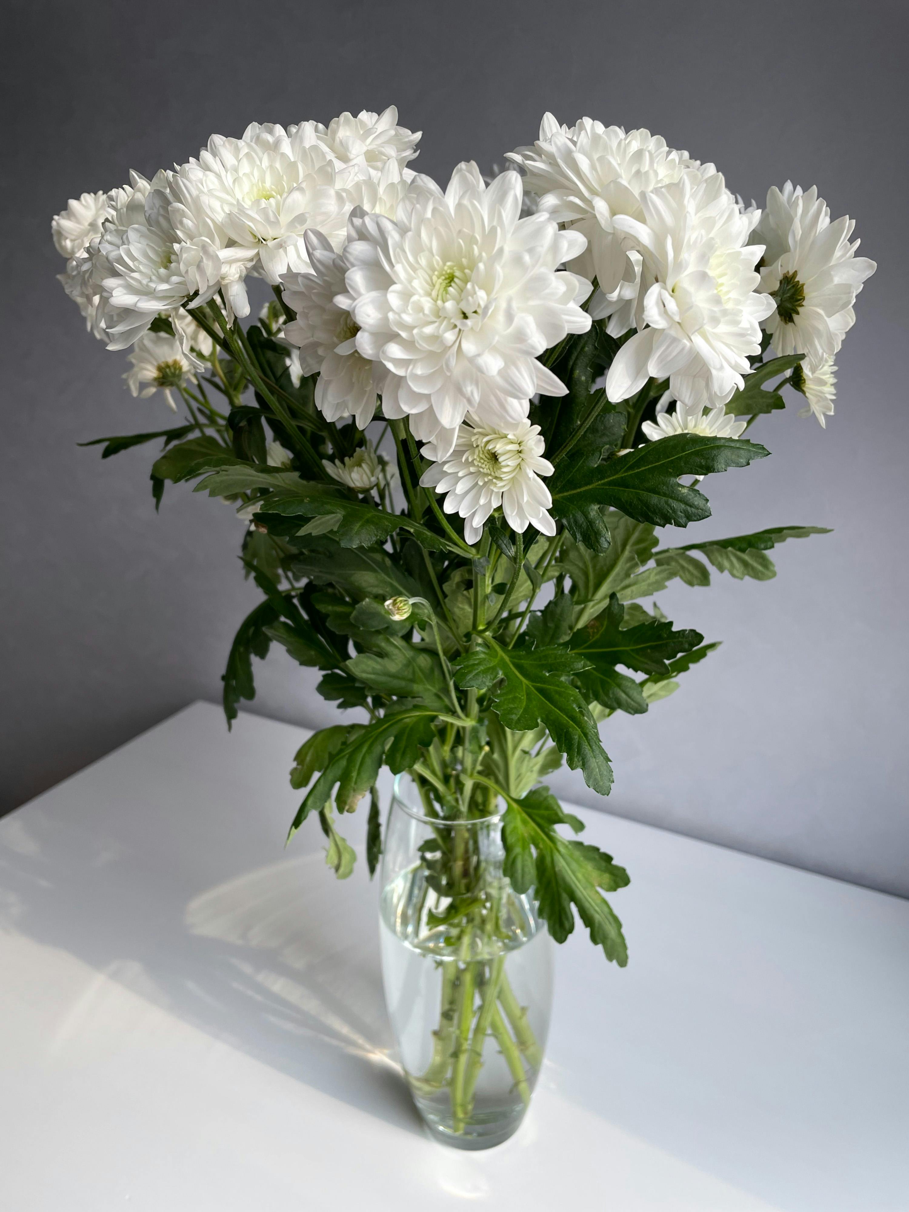 White Flowers in Vase · Free Stock Photo