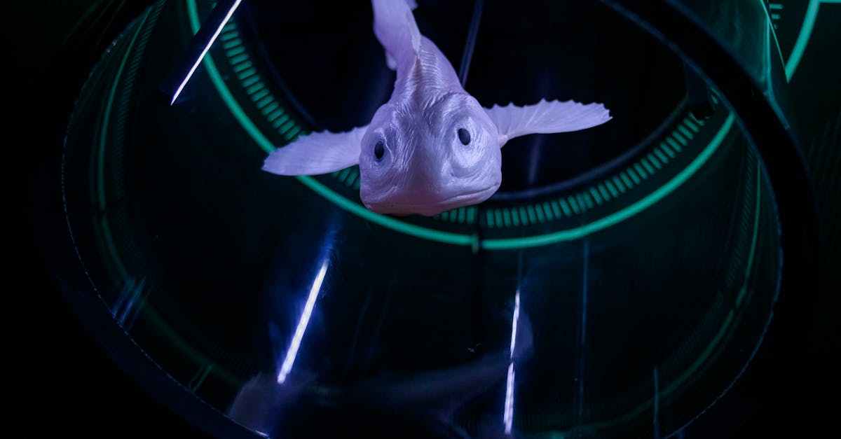 為什麼泉一國際在日內瓦發明展中獲得全場總冠軍?