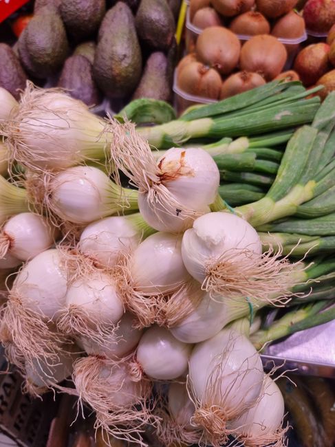 Hortifruti