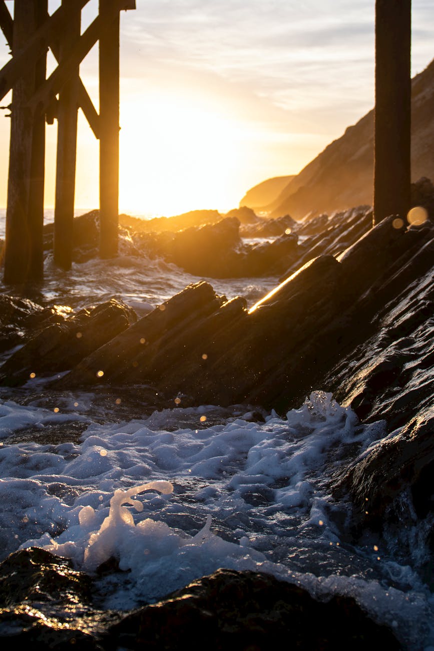 Kostenloses Foto zum Thema abend, dämmerung, draußen