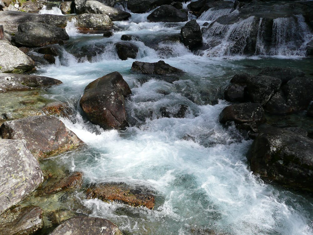 Close up of Stream and Rocks · Free Stock Photo