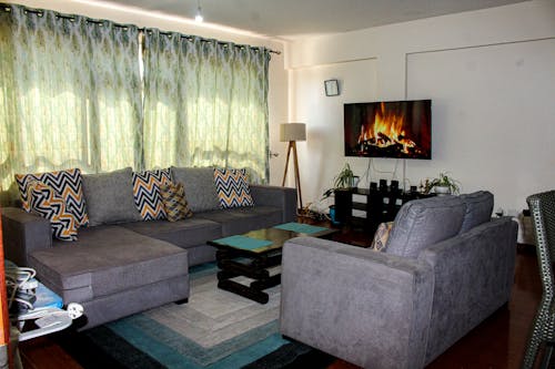 Free stock photo of beautiful home, fake plants, sofa