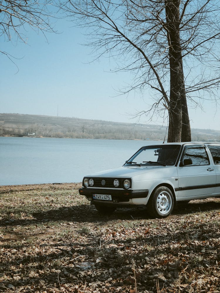 Vintage Car Near Tree On River Bank