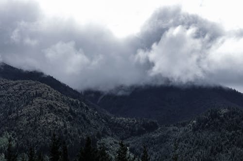 Mountain Covered With White Clouds